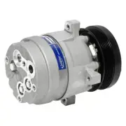 AC Compressor 6-262 Fits 87-91 CHEVROLET 10 VAN 317232