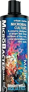 Brightwell Aquatics MicroBacter Clean - Microbial Culture & Enzyme Blend Designed to Target & Clean Surfaces of Aquatic Tanks, 250 ML
