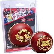 SS True Test Cricket Ball (Red, Pack of 6), Water Proofed Leather Ball, Suitable for Practice Game, Tournament Game Cork