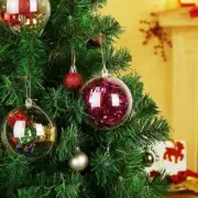 Clear Plastic Wedding Favours Baubles for Personalized Christmas Decor
