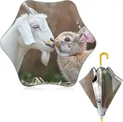 [ODAWA] Toddler Girl Umbrella Thick Cat Gym Funny Kids Umbrella, J Handle Golf Umbrellas
