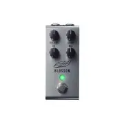 Blossom Optical Compressor Guitar Effects Pedal (JCKBLOSSOM) Golden