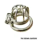 Chastity Cage- Prince Albert Piercing Custom Metal Cage Bondage Restraint Lock