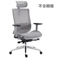 在飛比找Yahoo!奇摩拍賣優惠-戀樹人體工學椅電腦椅家用久坐辦公椅網椅舒適椅子前傾 F08升