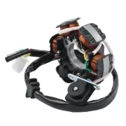 6 Pole Stator Ignition Coil Fit For Scooter ATV Go Kart GY6 120/125cc Engine