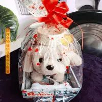 在飛比找蝦皮購物優惠-【台灣公司貨】禮品袋裝玩具熊大布娃娃公仔玩偶包裝袋水果籃透明