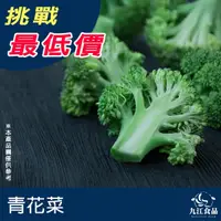 在飛比找蝦皮購物優惠-【九江食品】冷凍青花菜／1kg／1500免運／蔬菜／青花菜／