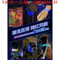 在飛比找Yahoo!奇摩拍賣優惠-項圈狗狗發光狗項圈寵物夜光遛狗燈發亮充電狗圈頸圈夜間大型犬小