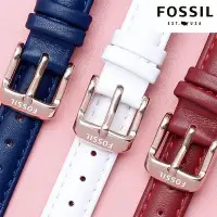 在飛比找Yahoo!奇摩拍賣優惠-好品質適配FOSSIL手錶帶女 真皮 化石ES3737/37