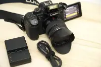 在飛比找Yahoo!奇摩拍賣優惠-Panasonic專業級GH4數位單眼相機4K高畫質M43錄