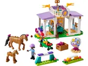 [Lego] Horse Training