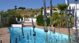 Beautiful Andalusian villa on the hills of Malaga