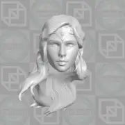 Wonder Woman JLA custom head for McFarlane DC Multiverse & other action figures