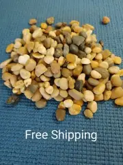 22 OZ Accent Rocks River Stones Pebbles fountain, Aquarioum, Candel, Vase etc..