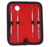 German Steel Dental Scaler Tartar Calculus Plaque Remover Tooth Stains in Case
