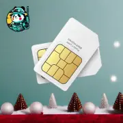 GLOBAL DATA SIM CARD 250mb P/M Annual PrePay INRICO PandaPTT ANYSECU TXQ G6
