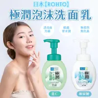 在飛比找蝦皮購物優惠-日本【ROHTO】極潤泡沫洗面乳 160ml | 洗臉 洗顏