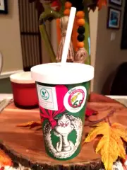 DR.SEUSS HOW THE GRINCH STOLE CHRISTMAS DRINK TUMBLER W/ STRAW ECO FRIENDLY