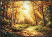 Golden Sunrays in a Forest - Chart Counted Cross Stitch Patterns Needlework DIY