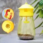 Reusable Fruit Fly Trap Killer Yellow Cage Drosophila Trap Fly Catcher Hanging~