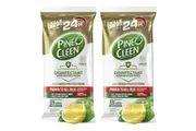 Pine O Cleen 24h Protection Lemon Lime Disinfectant Cleaning Wipes 126 Pack