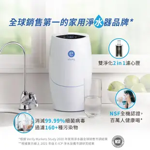 【全新】含濾心 益之源 淨水器 新款鵝頸 espring 安麗 Amway 紐崔萊 Artistry sky 逸新 雅芝