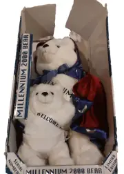 Y2K 2000 Millennium 17 Inch Plush Teddy Bear Snowflake Momma Baby New in Box*