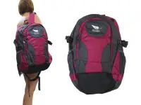 在飛比找Yahoo!奇摩拍賣優惠-~雪黛屋~Cougar 後背包超大容量二主袋+外袋共四層超輕