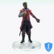 Warlock - Voices of the Realms: Band of Heroes #6 D&D Icons of Realms Miniature
