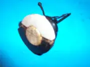 USED STIHL FUEL CAP FITS MS440 MS390 MS660 MS460 MS310 MS290 00003500525 OEM CR