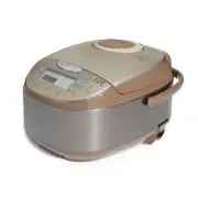SPT Rice/Slow Cooker w/ 3-Quick Selects 6-Cup 8-Settings+Delay Timer Bronze