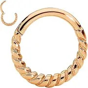 [365 Sleepers] Surgical Steel 16G 8mm 10mm Twist Hinged Segment Nose Ring Helix Tragus Septum Lip Hoop Earring Unisex Body Piercing Jewellery