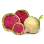 Radish - Chinese Mantanghong Improved F1 seeds