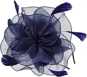 [OHPHCALL] Mesh Headdress Retro Decor Fascinator Hats Head Dress Designed Women Fancy Hats for Women Tea Party Women Accessory Plume Hat Hair Clip Female Accessory Pink Plastic