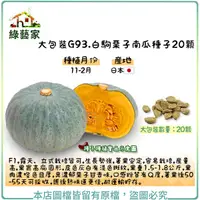 在飛比找Yahoo奇摩購物中心優惠-【綠藝家】大包裝G93.白駒栗子南瓜種子20顆