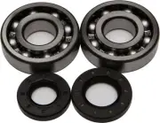 All Balls Fits Honda Crankshaft Bearing & Seal Kit _ 24-1009
