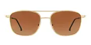 VANNI VS667 C66 Men's Sunglasses Gold Size 54