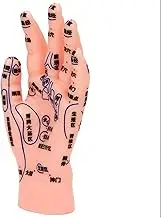 Hand Acupoint Training Model Durable Reflexology Learning Aid for Tcm Instruction and Massage Realistic Hand Massage Simulation Display