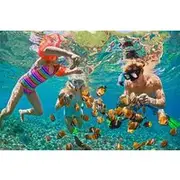 Save 16.01%! Oahu's Ultimate Tour: Dole, Turtle Snorkel, Pali Lookout & More