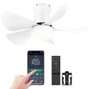 26" Ceiling Fan Light with Lights and Remote & APP Control 5 Reversible Blades