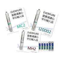 在飛比找蝦皮購物優惠-【賀宏】附發票 - 愛惠浦 EVERPURE I20002 