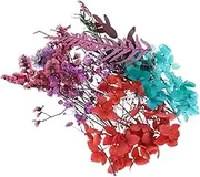 VINTORKY Dried Flower Material Package Dry Flower Material DIY Pressed Herbarium Flower Handmade Flower Material Natural Dried Pressed Flower Materials DIY Flower Dried Flowers Purple