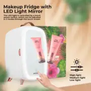 Mini Fridge Personal Beauty Makeup Skincare Fridge With LED Light Mirror New 6L