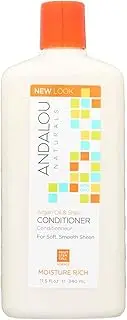 Andalou Naturals Argan Oil & Shea Moisture Rich Conditioner, 11.5 Ounce