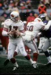 Quarterback Jim Hart St Louis Cardinals drops back to pass v the - 1974 Photo 4