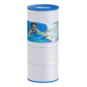 TOREAD Replacement for Pool Filter Pentair CC100 CCRP100 PAP100 PAP100-4 Ultr...