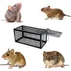 Cage Reusable Mice Trap Cage Self-locking Mousetrap Mouse Catcher Rodents Trap