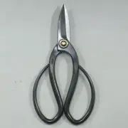 Bonsai Tools Kaneshin Bonsai Scissors Small Total Length 155mm No40 From Japan