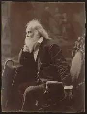 Walt Whitman Photograph - Vintage Photo from 1881