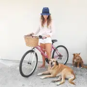 Wicker Bike Basket / Bicycle Basket / Wicker Bicycle Basket with Handle / Marke